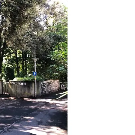 Amarillo アパート *